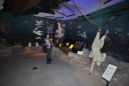 Dubai Museum Pearl Diving Exhibit